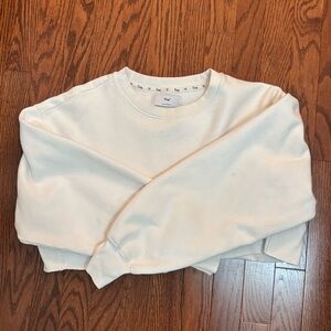 Aritzia Cropped Sweatshirt